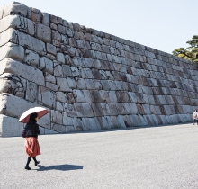 Fotos por Diego Berruecos