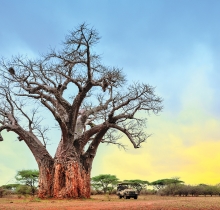 Fotos por David de Vleeschauwer