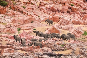 Fotos por David de Vleeschauwer