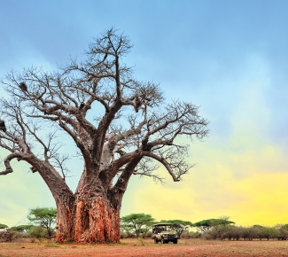 Fotos por David de Vleeschauwer