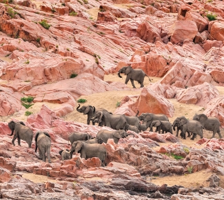 Fotos por David de Vleeschauwer