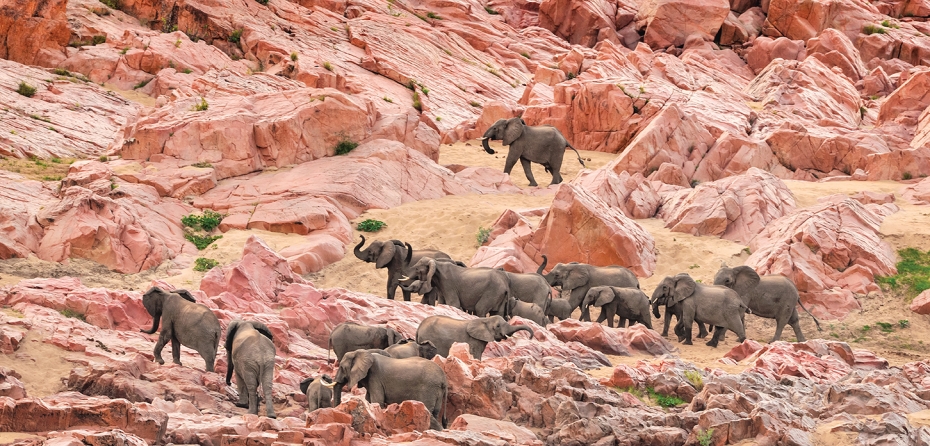 Fotos por David de Vleeschauwer