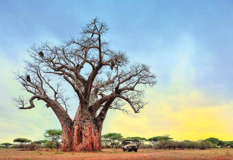 Fotos por David de Vleeschauwer