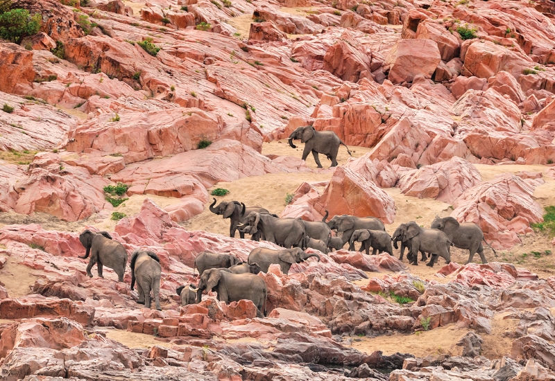 Fotos por David de Vleeschauwer